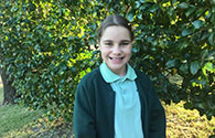 Darcy web